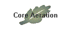 Core Aeration