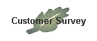 Customer Survey
