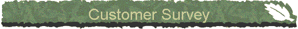 Customer's Survey