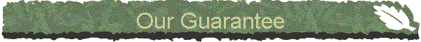 Our Guarantee