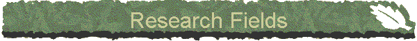 Research Fields