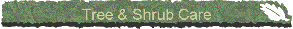 Tree & Shrub Care